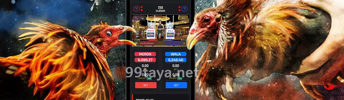 Cockfight